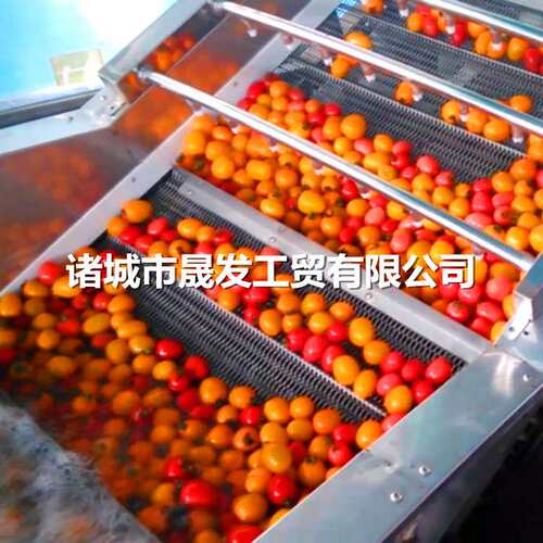 晟发全自动龙虾气泡清洗机 多功能扇贝清洗风干线 海鲜解冻清洗机