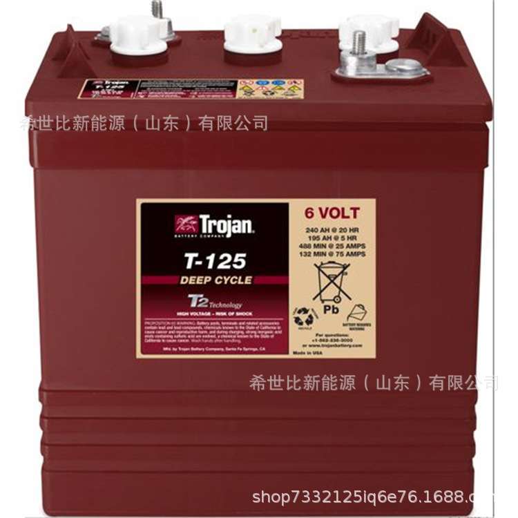 Trojan邱健蓄电池 T-145洗地机6V260AH升降机观光车堆高车