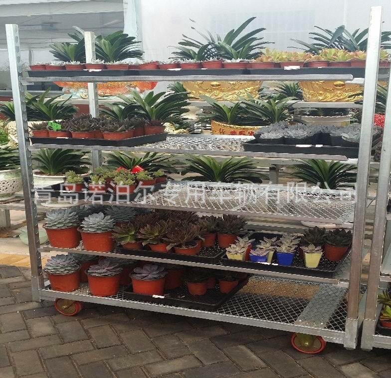 热销多肉花卉展示车层高可调