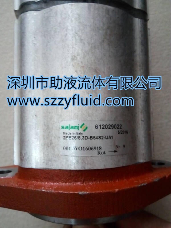 salami齿轮泵萨拉米齿轮泵1PE4.8S-G06B0
