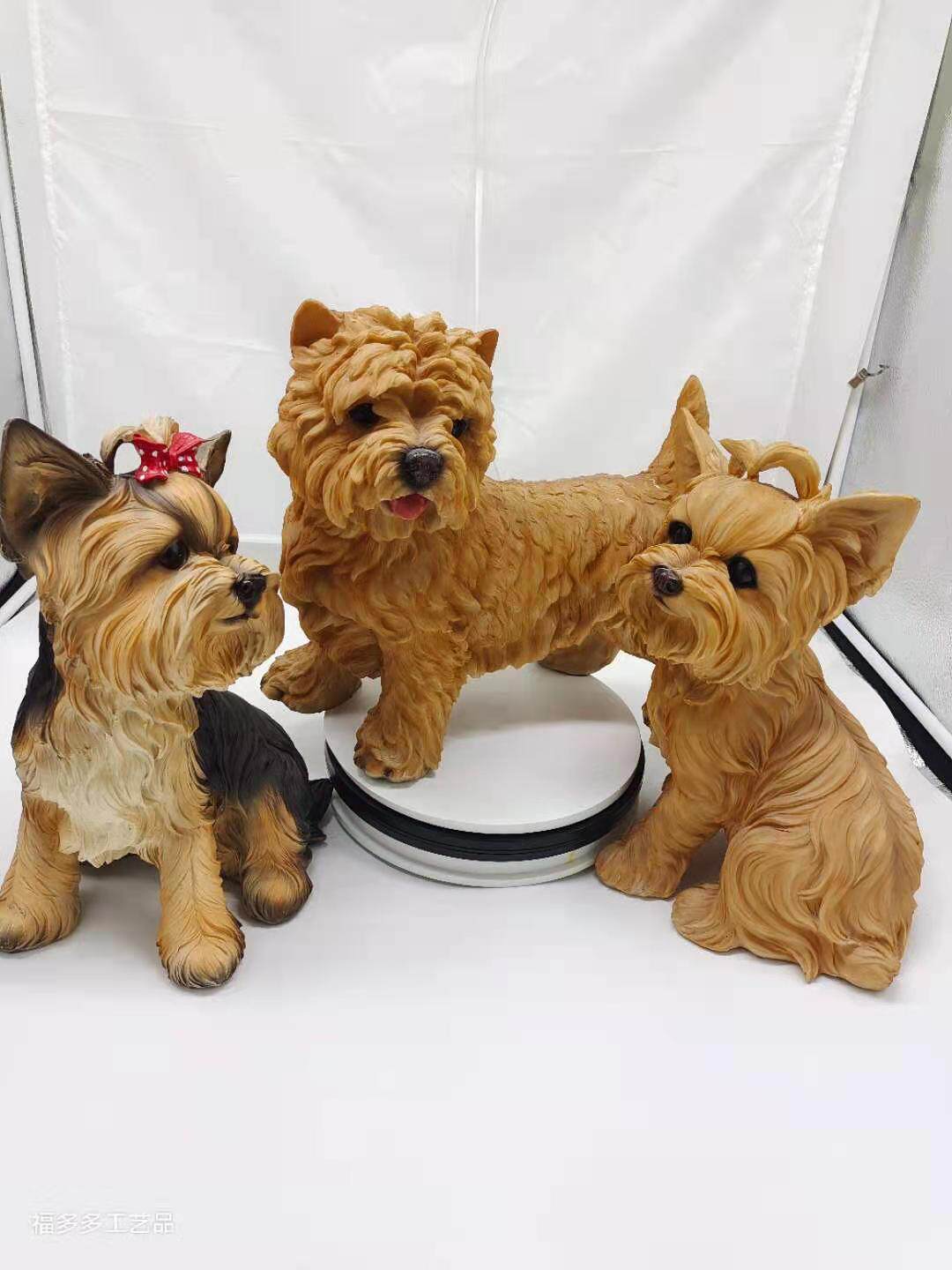 纯种雪纳瑞幼犬小体纯泰迪犬椒盐色模型纯种小老头成都宠家乐犬舍