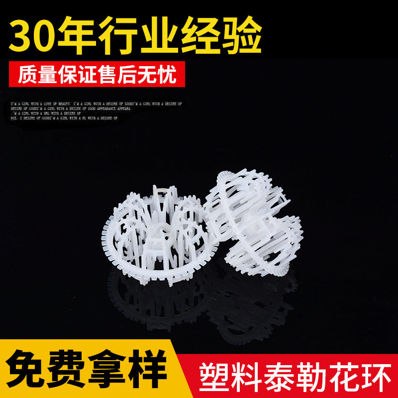 新型填充材料 塑料泰勒花环100㎜可批发供应填料厂家多孔塔填