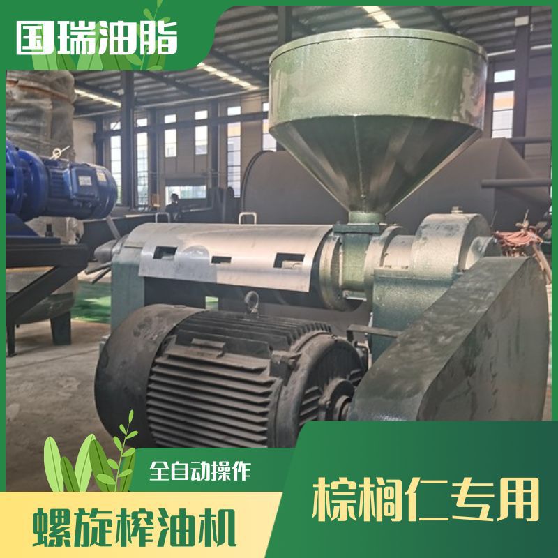 国瑞油脂 大型耐用棕榈仁压榨机器 可出口自动化棕榈仁油生产设备
