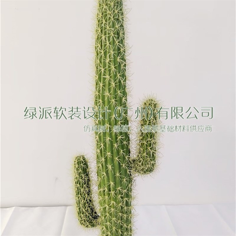 仿真植物盆栽绿植仙人掌仿真仙人柱假P花摆设仿真仙人柱