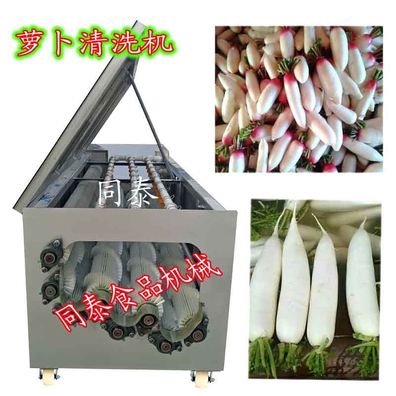 电动水萝卜自动毛刷清洗机,青萝卜白萝卜红萝卜清洗专用毛刷机