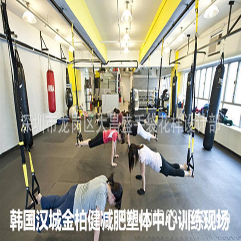 外贸爆款T悬挂体能阻力训练健身拉力带 悬吊式训练带健身带