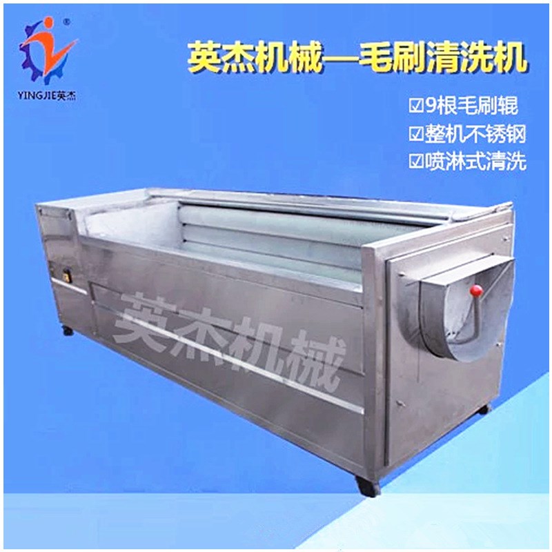商用海蛎子毛辊清洗机生蚝清洗流水线生姜莲藕清洗脱皮机器