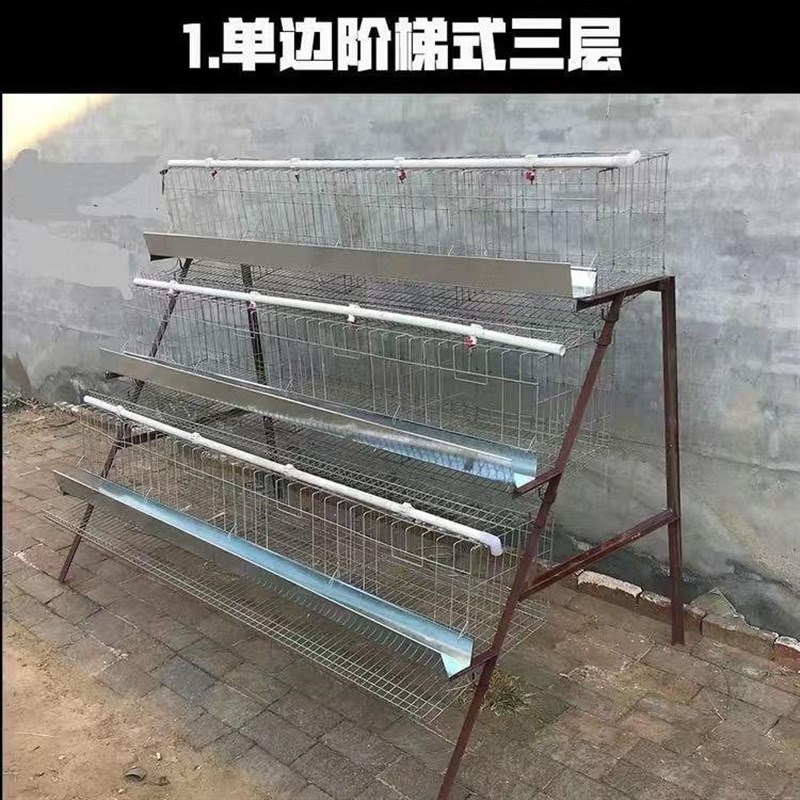 优质蛋鸡笼养殖场专用笼鸡笼子阶梯式蛋鸡笼养鸡设备W养殖鸡笼全