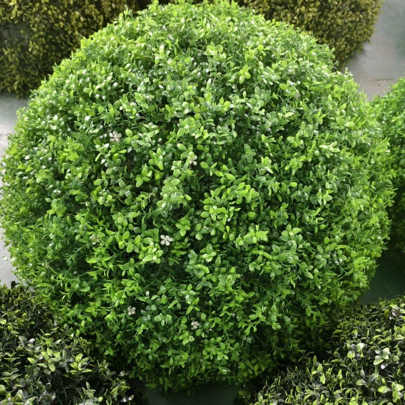 户外绿植井盖遮挡装饰品空心大草球仿真塑料草球S米兰草球黄杨草