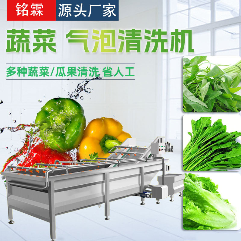 全自动空心菜清洗机设备 不锈钢菠菜清洗机 生菜果蔬清洗机设备