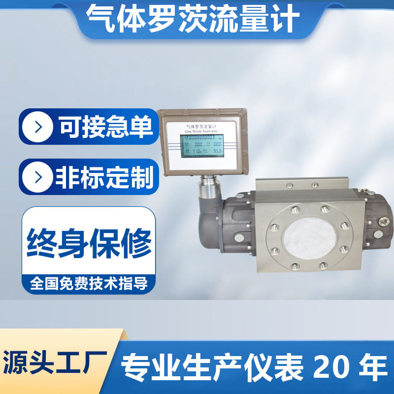 LLQ气体腰轮罗茨流量计天然燃煤瓦斯液化贸易计量智能气体流量计
