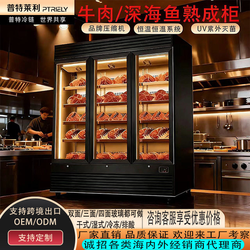 牛肉牛排干湿式熟成柜单门三文鱼刺身深海鱼熟成柜熟成排酸柜出口