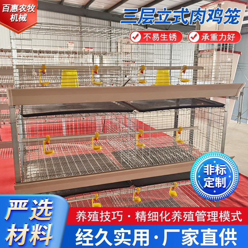 肉鸡笼防锈d三层立式肉鸡笼养殖养鸡设备肉鸡笼热镀锌鸡笼