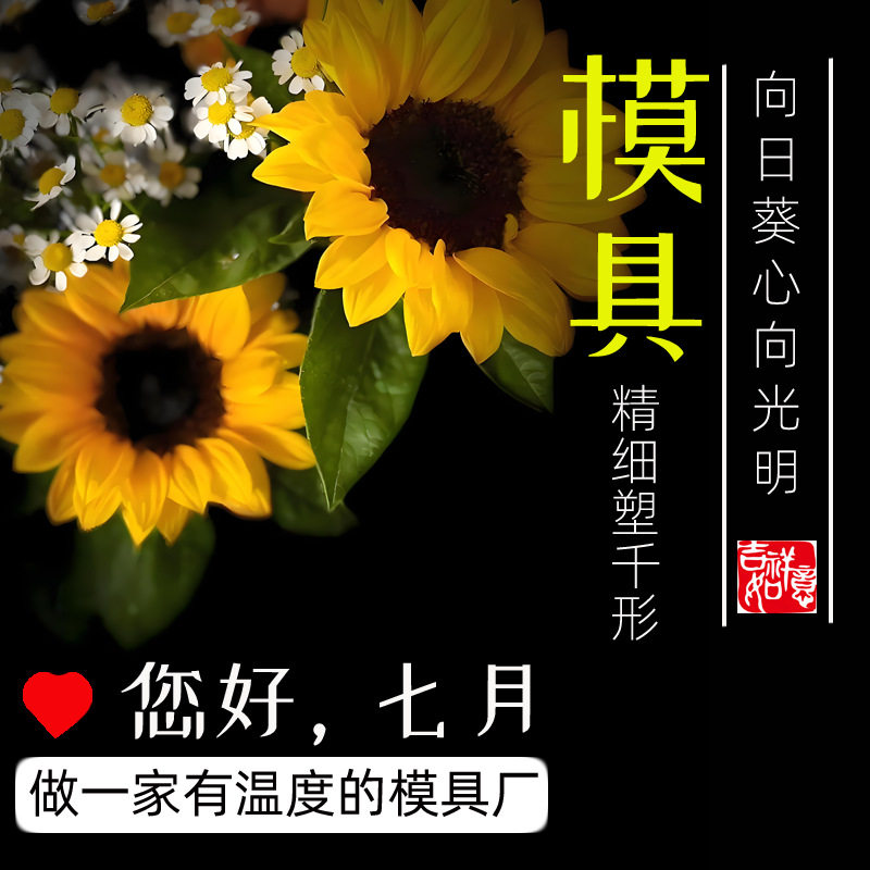 塑料外壳双色注塑开模厂家