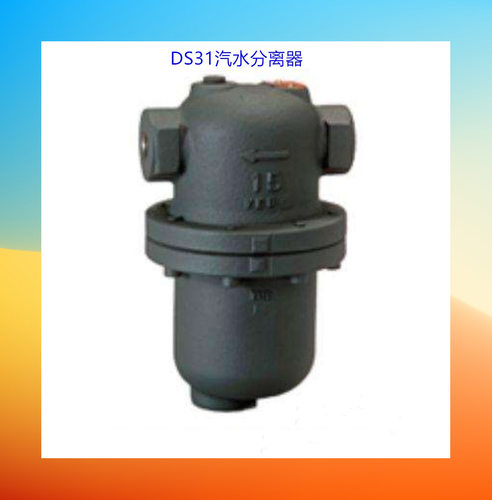 DS汽水分离器螺纹蒸汽汽水分离器管道汽水分离器AS法兰汽水分离器