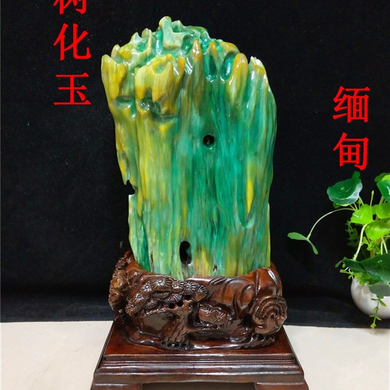 包石天然缅甸树化玉 绿料树化摆奇邮观赏石原石石件石头礼品收藏