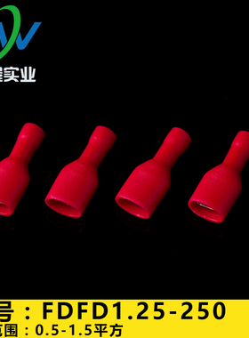 母全预绝缘F头 插簧母全护套 FD端D10250 冷压接线端子 1-00只