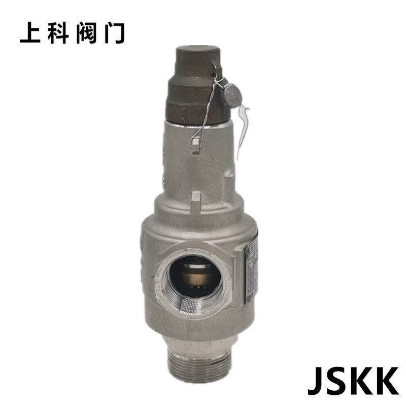 低温安全阀泄压阀液氮不锈钢螺纹弹簧全启式可调节自动DA22F-40P
