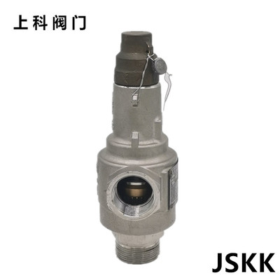 低温安全阀泄压阀液氮不锈钢螺纹弹簧全启式可调节自动DA22F-40P