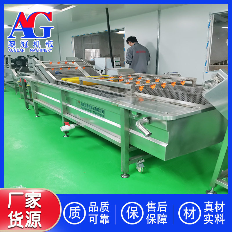 农业项目农产品加工流水线 经济农作物清洗深加工设备 蔬菜清洗机