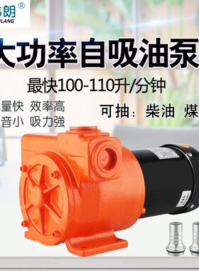 大流量自吸油泵12v24v22z0v高扬程电动抽油泵100升每分钟