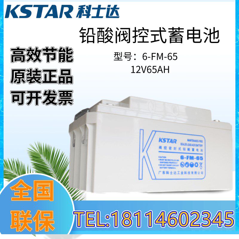 科士达蓄电池12V65AH阀控密封式铅酸6-FM-65直流屏太阳能UPS电源