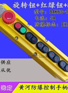 电动葫芦防爆控制手柄按钮开关 黄河防爆BAK63-11矿用化工用手柄