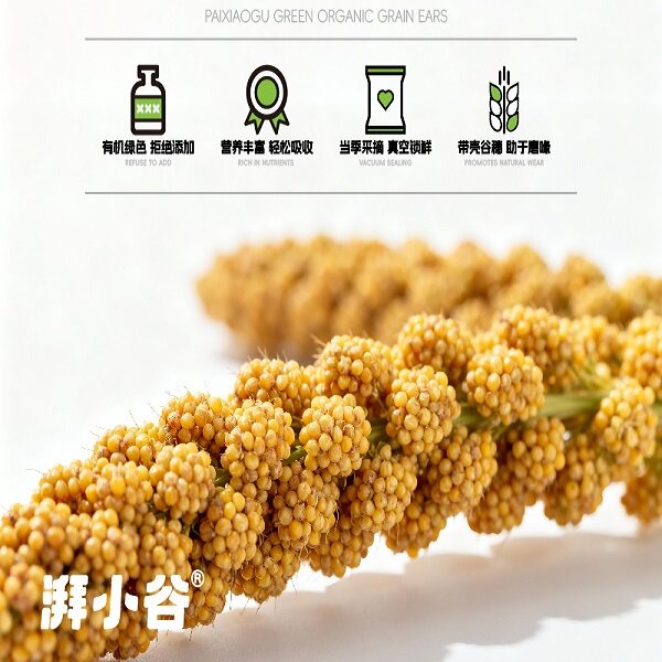 湃小谷有机鹦鹉谷穗!