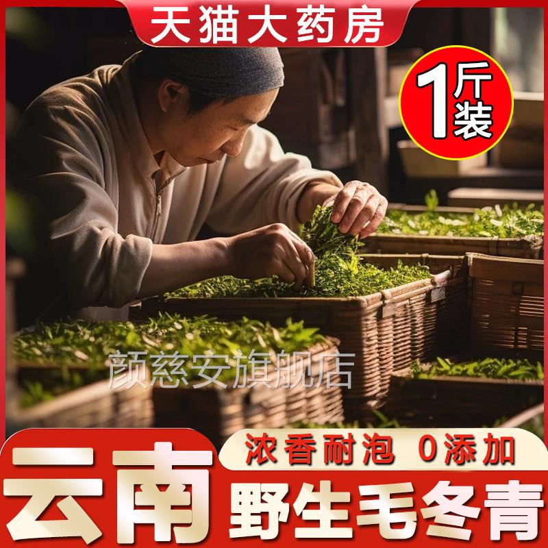 云南毛冬青1斤绿新鲜500g特级精选茶叶茶cc颜慈安旗舰店