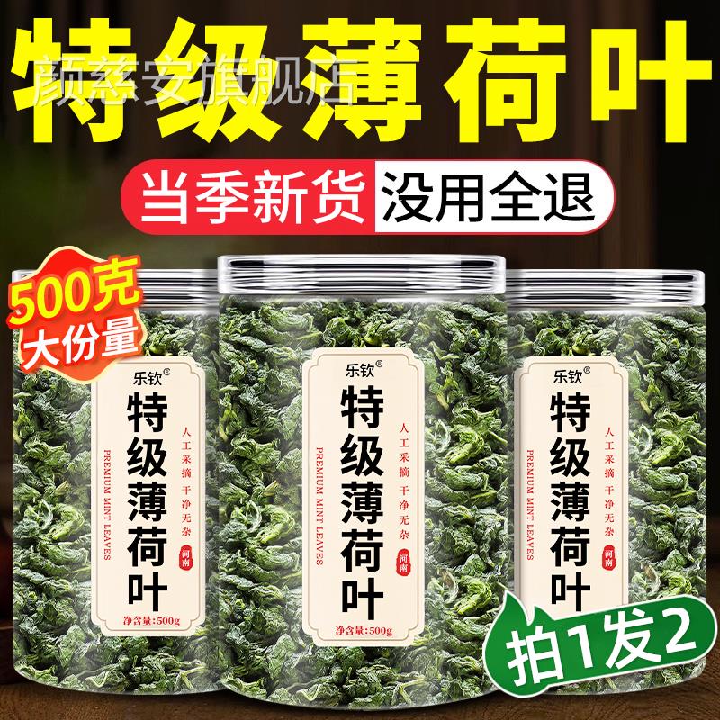 薄荷叶干新鲜食用凉茶清热降火解去火药的茶包下火中材排毒养肝xl