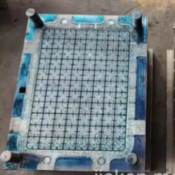 台州塑料鸡蛋托注塑模具制造商