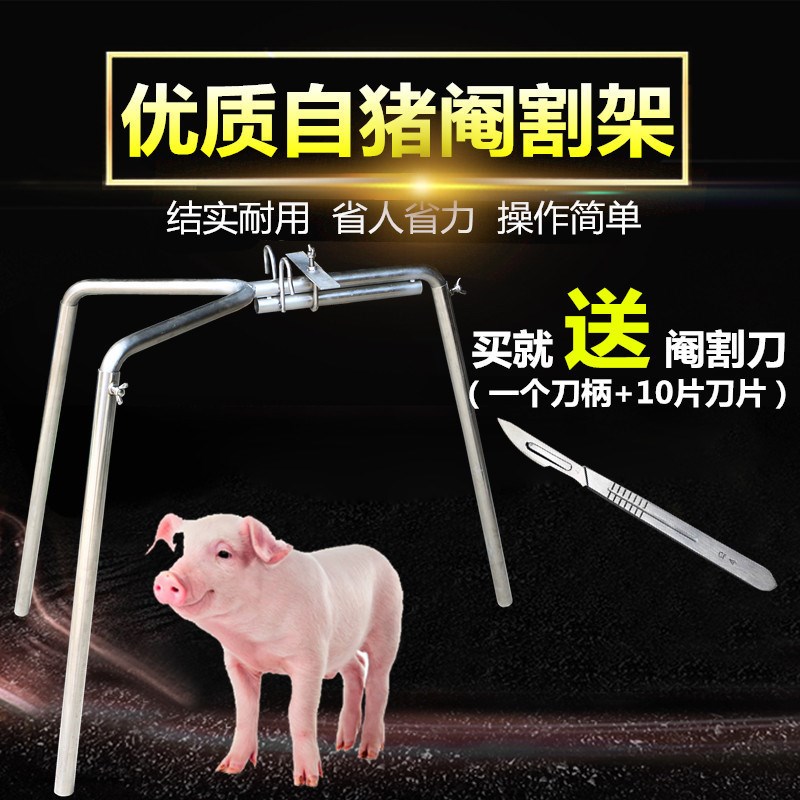 阉割架小猪 阉割器不锈钢仔猪用阉D猪器阉割刀工具养猪设备 阉猪