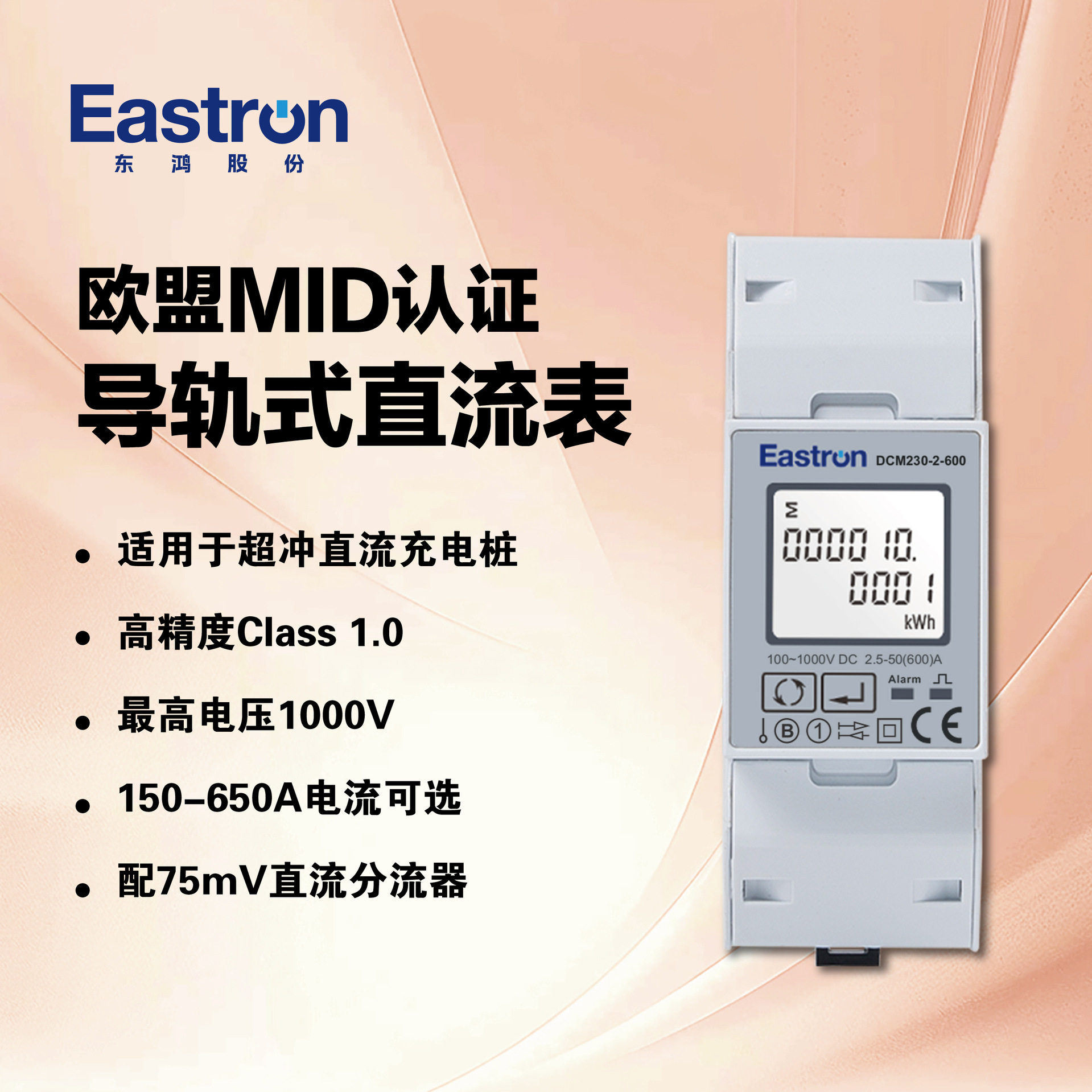 东鸿DCM230-2 直流充电桩电能表 可清零电量 免工具安装 MID认证