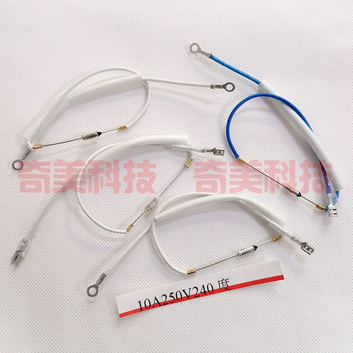 高温蒸汽挂烫机电磁炉熨斗热水瓶带电线温控管保险丝250V10A240度