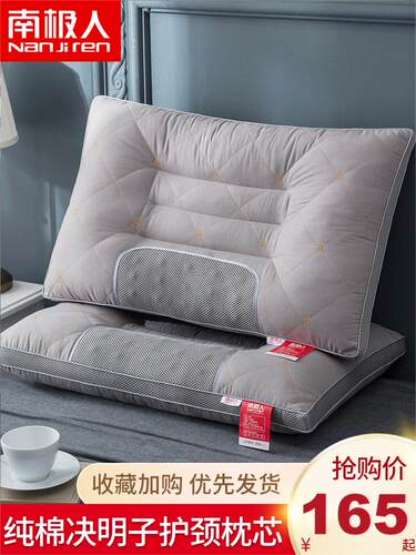 决明子枕头双人家用不塌陷不变形单人护颈椎助睡眠荞麦枕芯一对装