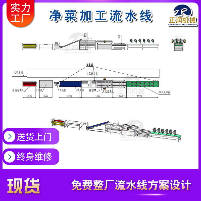 蔬菜清洗深加工流水线成套设备