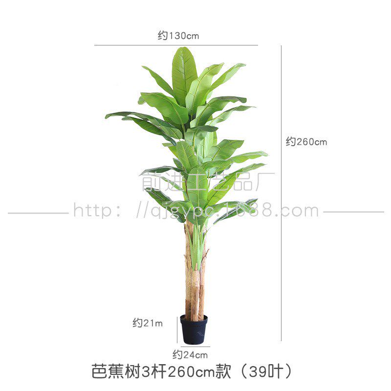 现货绿植b酒店餐饮店热带雨林景观造景假植物盆栽芭蕉树绿植
