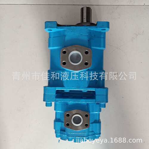 长江液压双联齿轮泵CBY3063/2016-B1FR 多种规格 运行稳