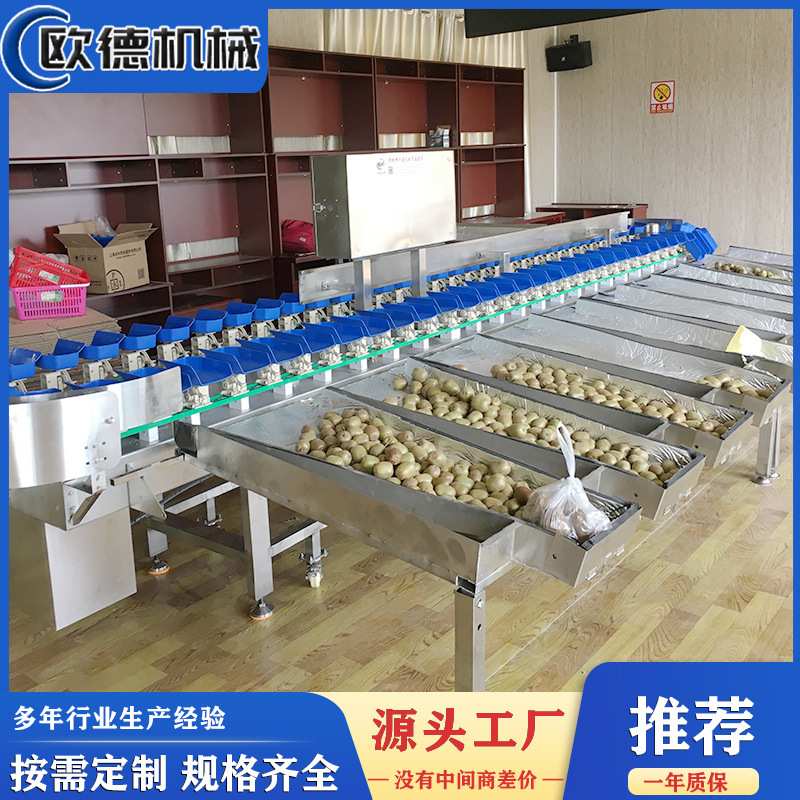 转盘式分级机 海产品大小规格分级称 贝类扇贝全自动重量分选机