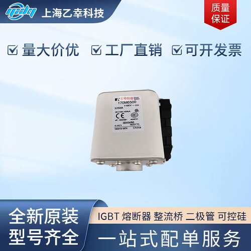 巴斯曼熔断器  170M6594 170M6595 170M6596 170M6597 170M6598