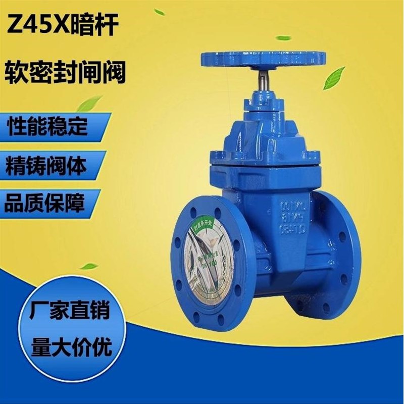 德国进口Z45X-16QZ41球磨铸铁法兰闸阀明杆暗杆软密封阀门DN弹性