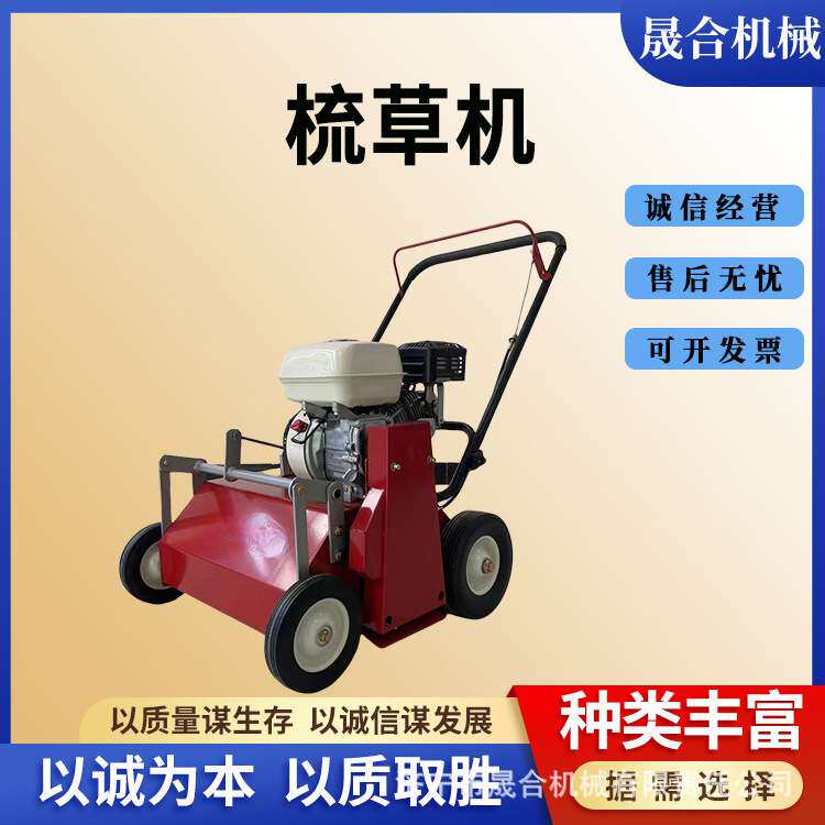 简易小型汽油梳草机 公园市政绿化维护手推草坪透气机 草地梳理机