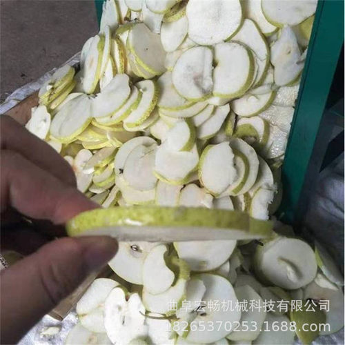农用小型电动切片机 红薯切片机 商用地瓜土豆快速切片佛手打片机
