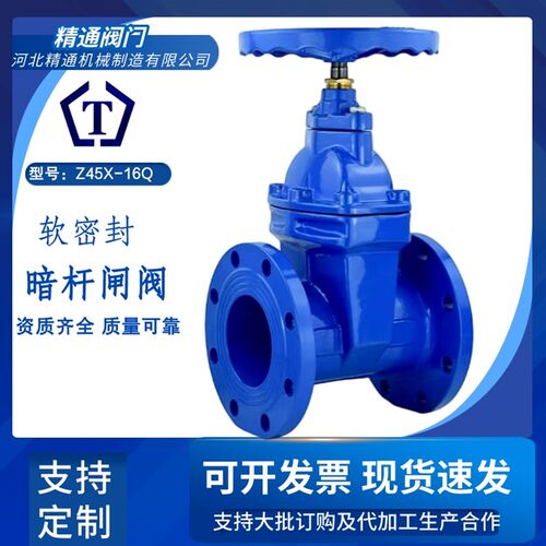 德国进口法兰闸阀z45x-16Q球墨铸铁软密封大口径手动给排水排污消