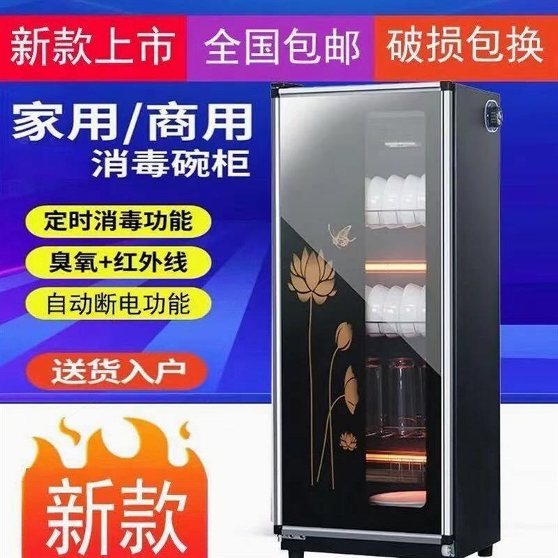 德国进口消毒柜家用小型立式中温不锈钢大容量商用饭店餐具碗