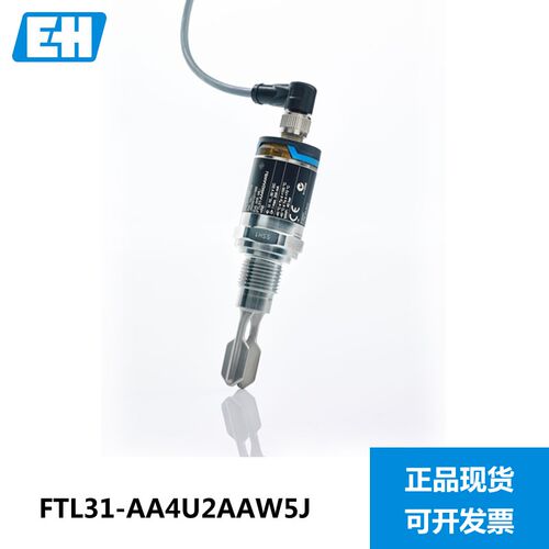 E+H 音叉液位计开关 FTL31-AA4U2AAW5J 恩德斯豪斯 FTL260 FTL20