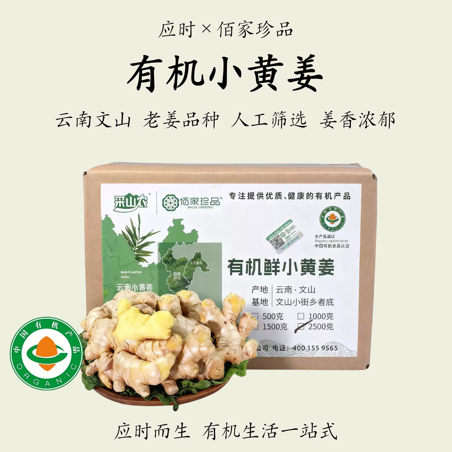 佰家珍品有机小黄姜云南文山
