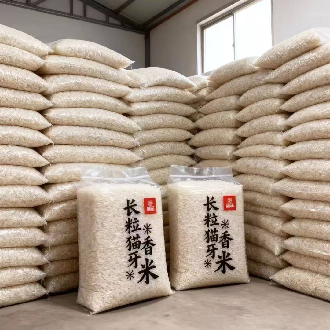 【新大米】正宗猫牙米长粒香米便宜丝苗米南方大米优选小袋煲仔饭