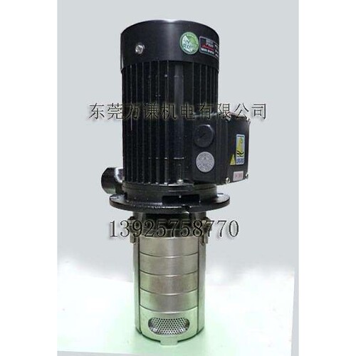 TPHK2T3-3 立式高压水泵 浸入式不锈钢多级泵 机床冷却泵 雕刻机
