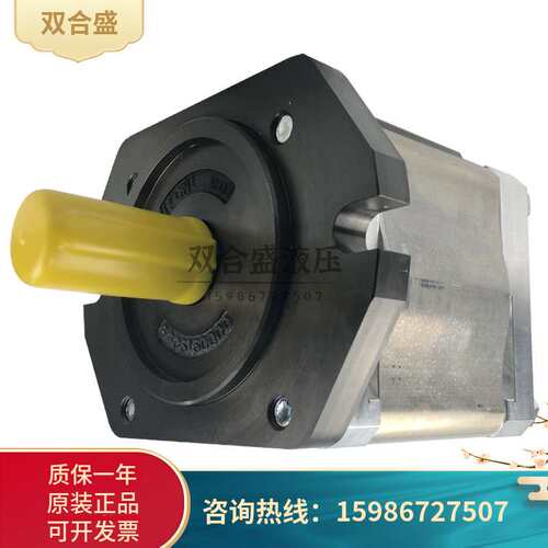艾可勒齿轮泵EIPC5-80/100RA23-105-80/100RK23-10高压齿轮泵